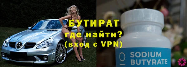 крисы Бородино