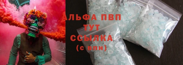 крисы Бородино