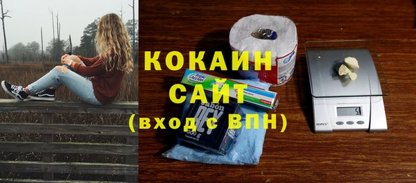 ALPHA PVP Богданович