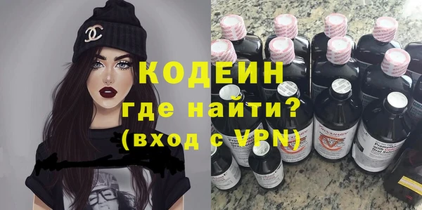 крисы Бородино