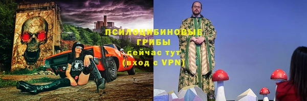 ALPHA PVP Богданович